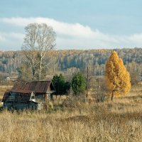 Сибирская глубинка, домики в деревне :: Дмитрий Конев