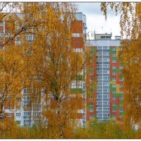 Осень в городе :: Игорь Волков