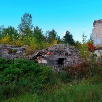 Роняет лепестки  шиповник средь руин :: Татьяна Помогалова