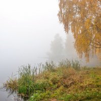 На берегу осенней реки :: Валерий Иванович