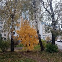 Осень в Мценске. :: Владимир Драгунский