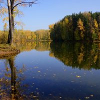 Отражения осени :: Наталия Григорьева