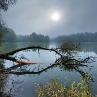 Таинственное озеро. :: Тамара Бучарская