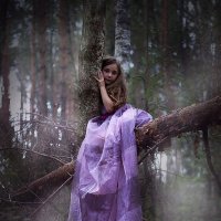 в  лесу :: Ольга Афанасьева