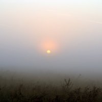 Серпневий схід сонця :: Сливка Вікторія