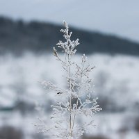 Признаки зимы :: Дарья Малышева