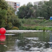 Шарик на водоёме :: Роман Яшкин