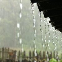 Дождь :: Ульяна Сафронова