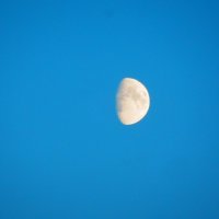 Луна :: Александра Полякова-Костова