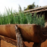 The most heavily bombed village during the Secret War in Laos :: Eva Langue