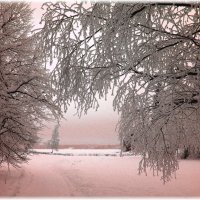 Зима :: Марина Шубина