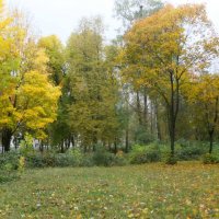 Осенний парк :: Виктория Булат