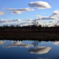 Осенний пейзаж :: Виктор Алеветдинов