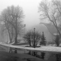 Туманный день :: Serg TSL