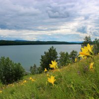 Там, лилии цветут... :: Наталья Юрова