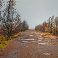 ветер пронзительный :: Ирэна Мазакина