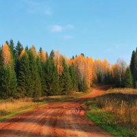 Осенняя палитра :: Мария Парамонова