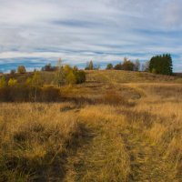 Поздняя осень :: Борис Устюжанин