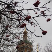 Новоспасский монастырь :: Ирина Wonderland
