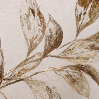 скелет листьев пиона :: Дарья Лююнтин 