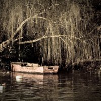 Old boat :: Naty ***