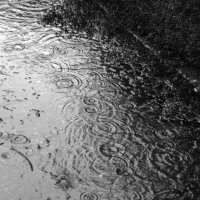 Дождь :: Екатерина Соаха