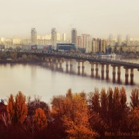 Осень в Киеве :: Илона Рукобратская