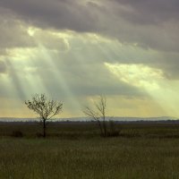 Свет небесный :: Вячеслав Митрясов