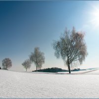 Мороз и солнце. :: Валентин Гусаров 