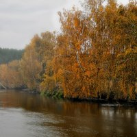 Этюд октября :: Сергей Шабуневич