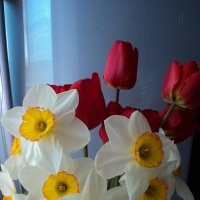 Весенние цветы :: Лариника Кузьменко