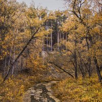 Золотая осень на реке Артынке. :: Лилия *