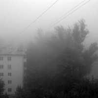Туман :: Екатерина Соаха