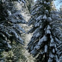 Зимняя дорога в Альпах :: Margarta Kushnirenko