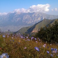 Горы Северной Осетии :: Елена Уварова