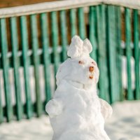 Толи снеговик, толи заяц белоснежный :: Milena 