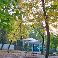 Осень в детском парке :: Валентин Семчишин