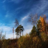 Осень на высоком берегу протоки Чеускина. :: Владимир 