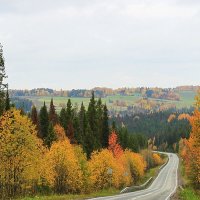 Осенний пейзаж :: Александр Щеклеин