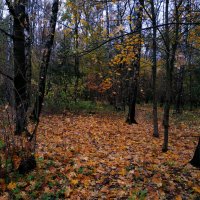 Осень не первоначальная и моя 200-я вело-фото-сессия :: Андрей Лукьянов