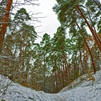 На Звенигородских горках :: Светлана 