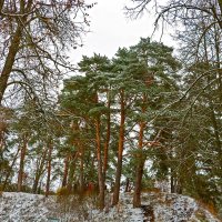 На Звенигородских горках :: Светлана 