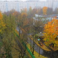 Вид из окна. :: Ольга Довженко
