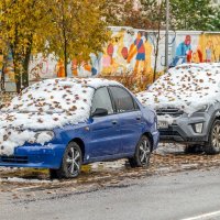 То снегопад, то листопад :: Валерий Иванович