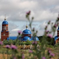 Купола Чагринского монастыря. Самарская область :: MILAV V