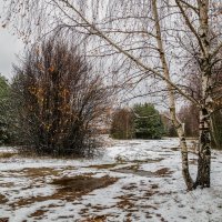 Осенний снег # 03 :: Андрей Дворников