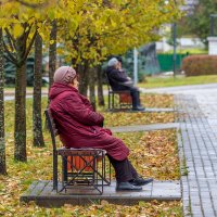 Под золотом осени. :: Анатолий. Chesnavik.