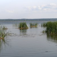 Озеро :: Олег Грибенников