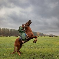 Пастух Петя. :: Юрий 