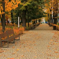 Осень в городском парке. :: Сергей 